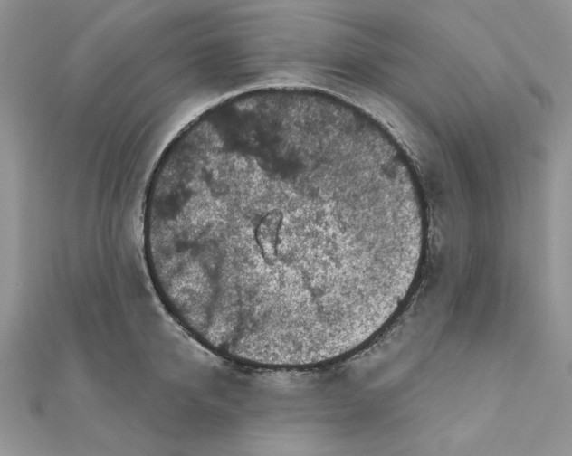 X0000111870950200908131609