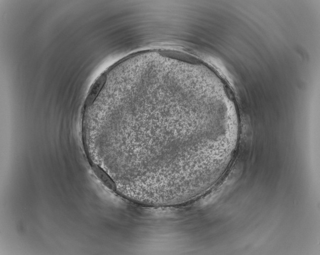 X0000111870952200908131609