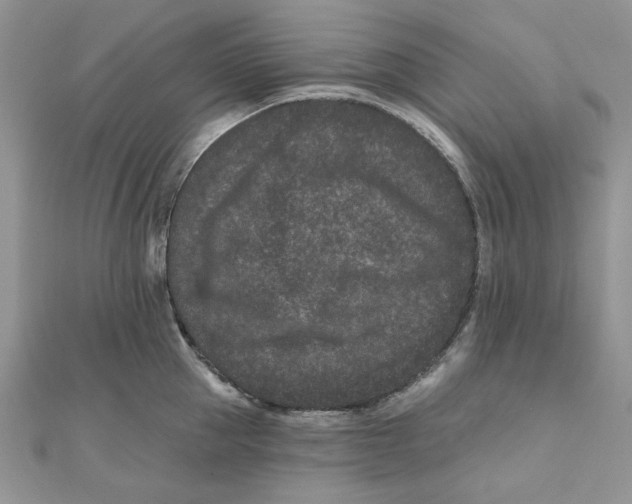 X0000111870953200908131609