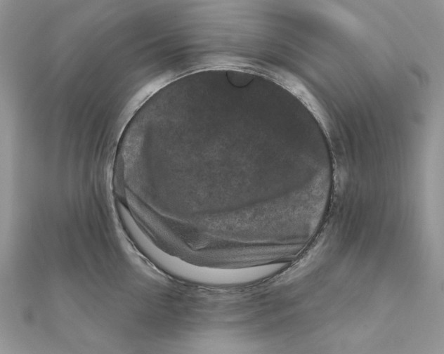 X0000111870954200908131609