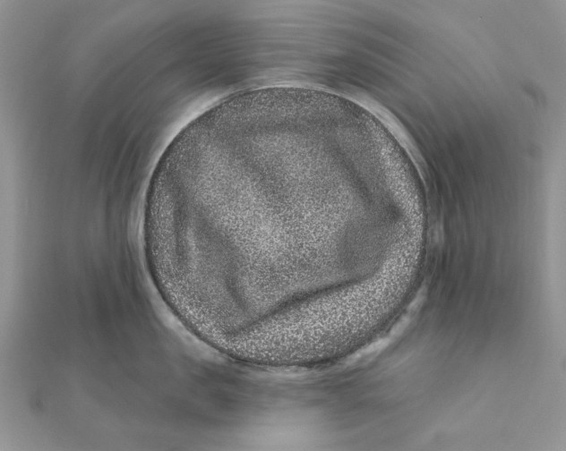 X0000111870957200908131609