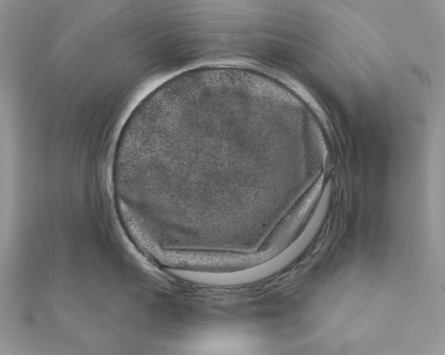 X0000111870959200908131609