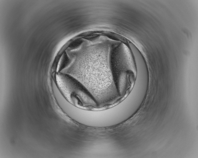 X0000111870960200908131609