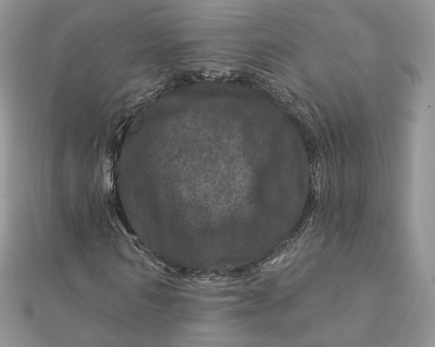 X0000111870962200908131608