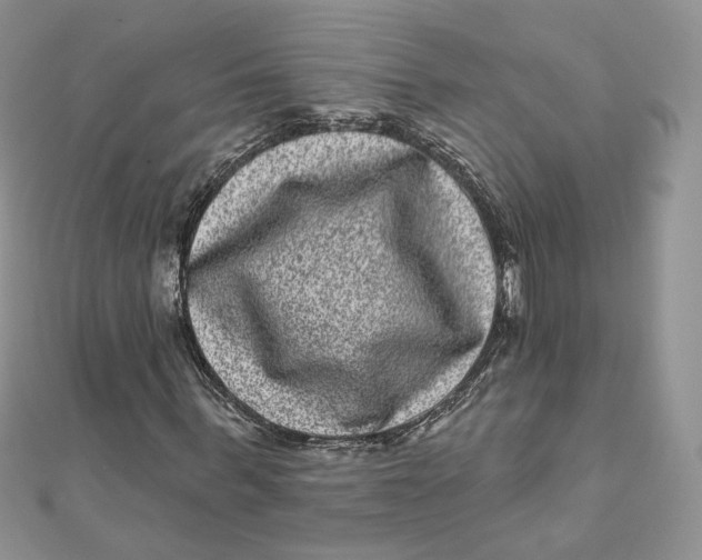 X0000111870963200908131608