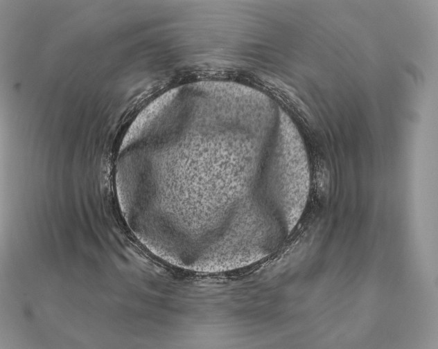 X0000111870964200908131608