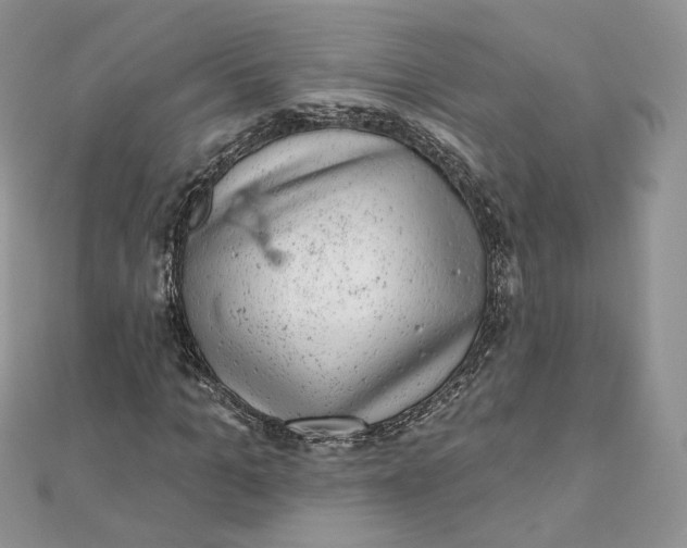 X0000111870965200908131608