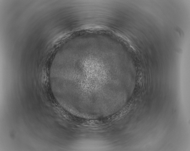 X0000111870966200908131608