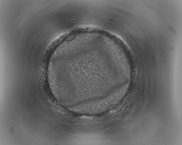 X0000111870967200908131608