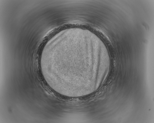 X0000111870968200908131608