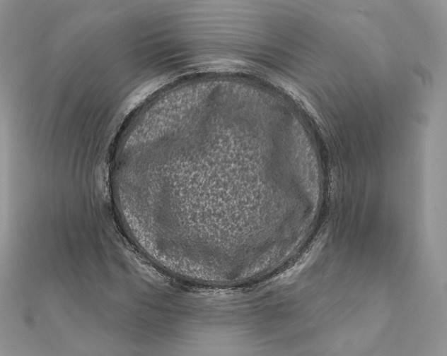 X0000111870970200908131608