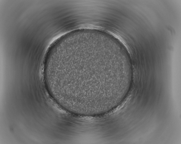 X0000111870971200908131608