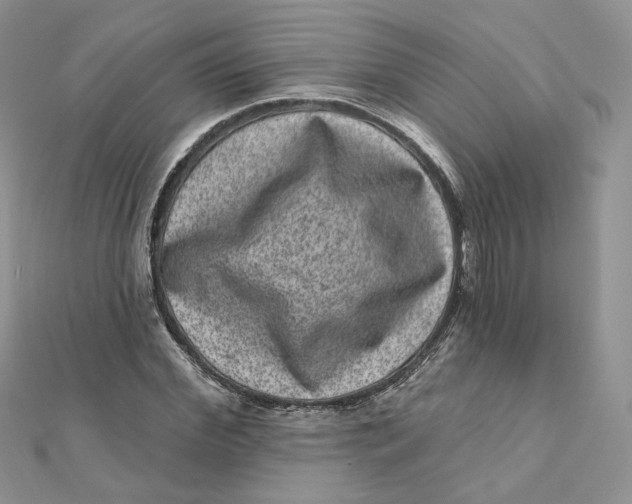 X0000111870972200908131608