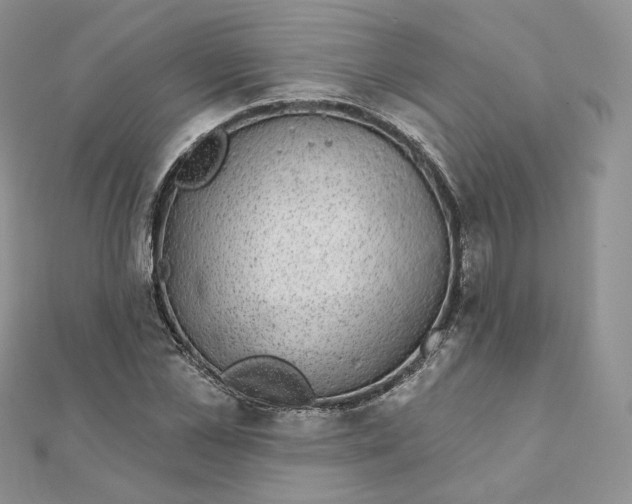 X0000111870973200908131608