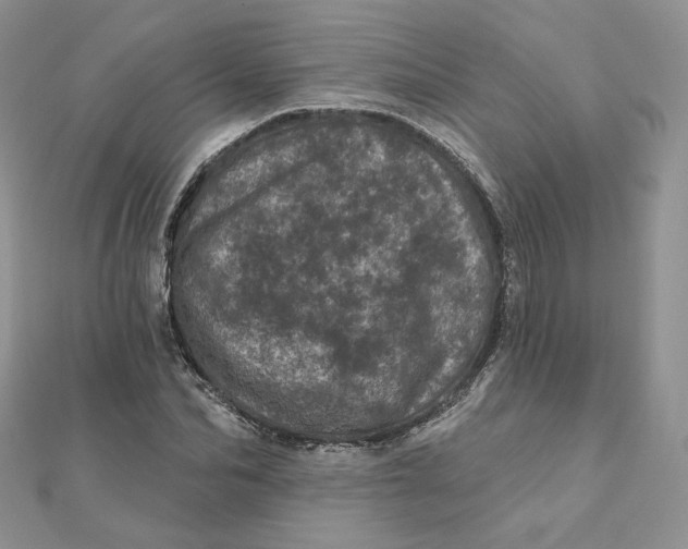 X0000111870974200908131608