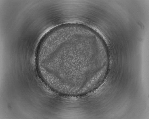 X0000111870975200908131608