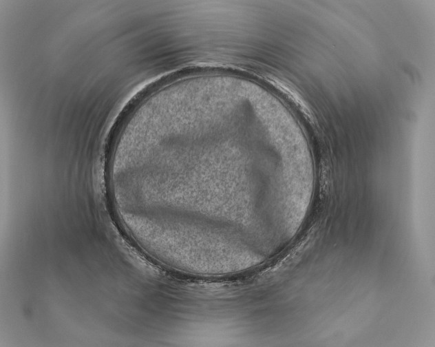 X0000111870976200908131608