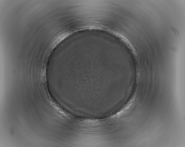 X0000111870977200908131608