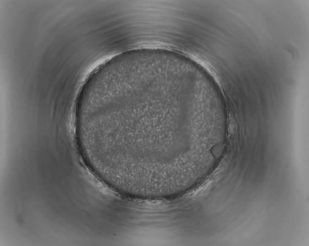 X0000111870979200908131608