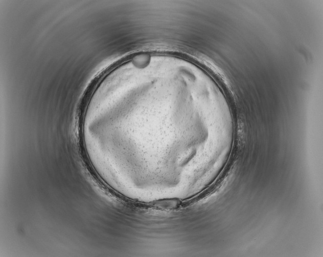 X0000111870981200908131608