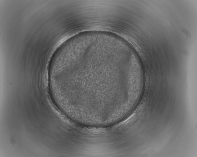 X0000111870982200908131608