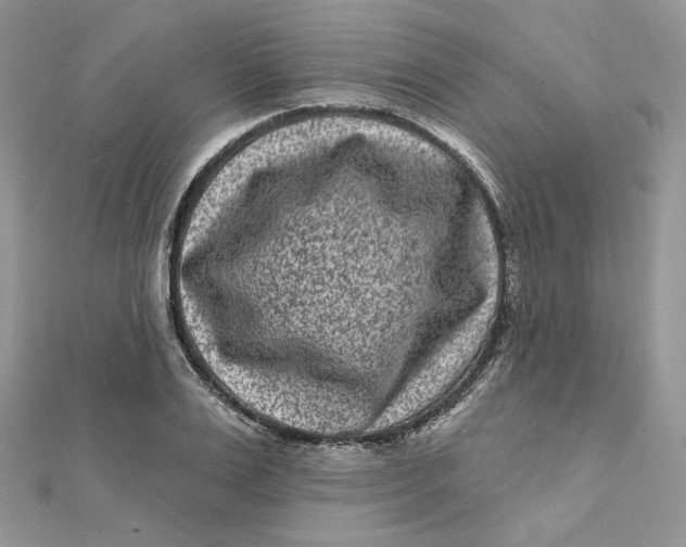 X0000111870983200908131608