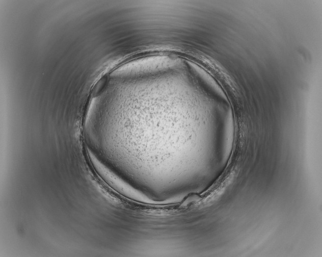 X0000111870985200908131608