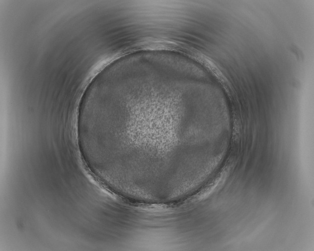 X0000111870986200908131608