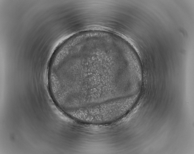 X0000111870987200908131608