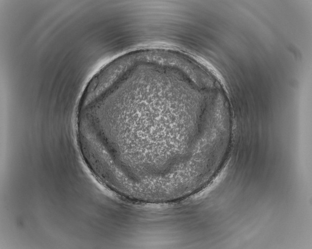 X0000111870989200908131608