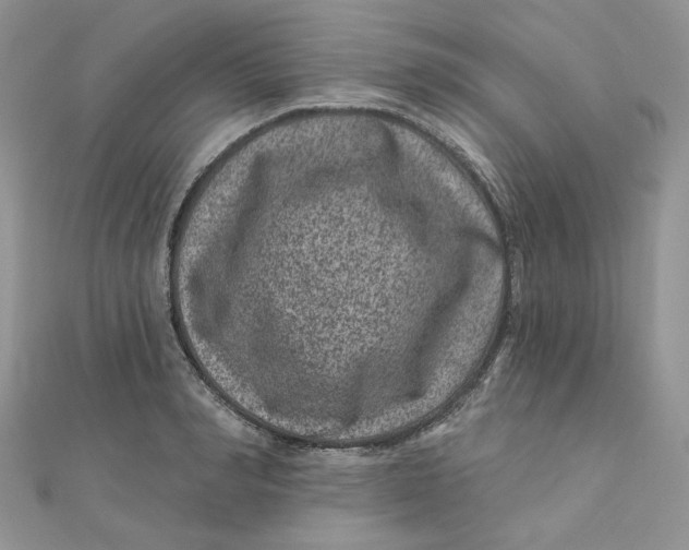 X0000111870990200908131608