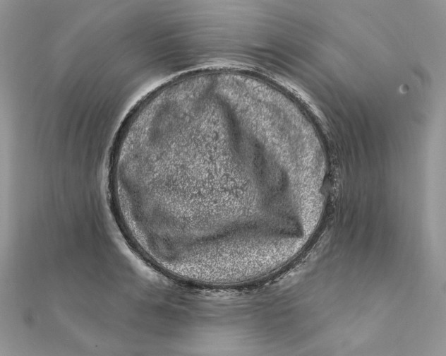 X0000111870991200908131608