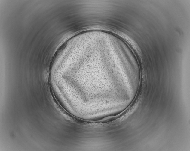 X0000111870993200908131608