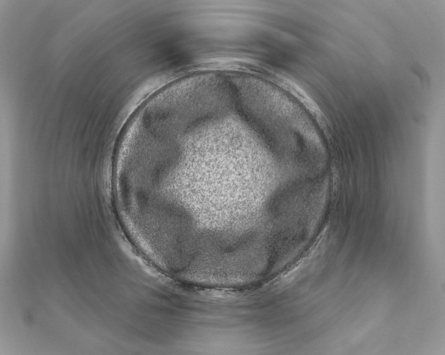 X0000111870994200908131608