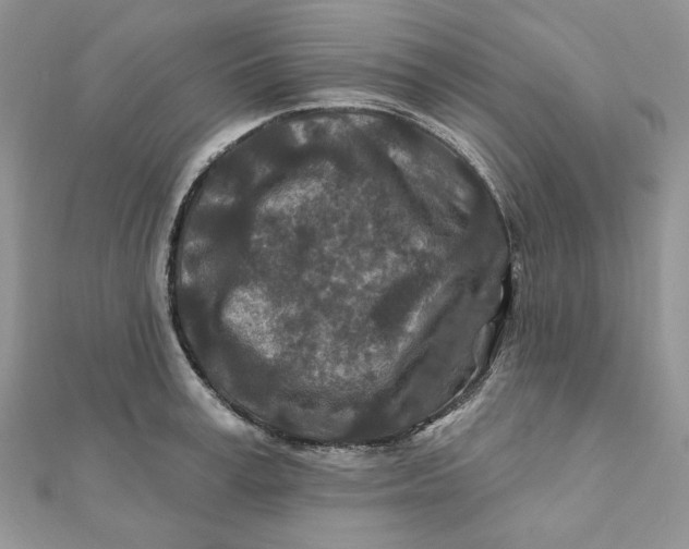 X0000111870995200908131608