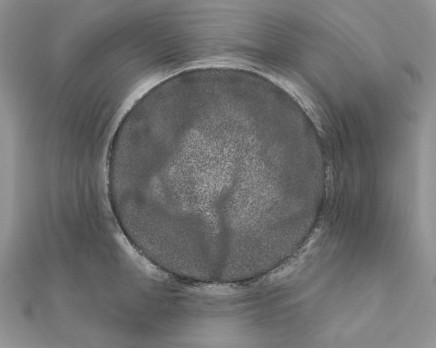 X0000111870998200908131608