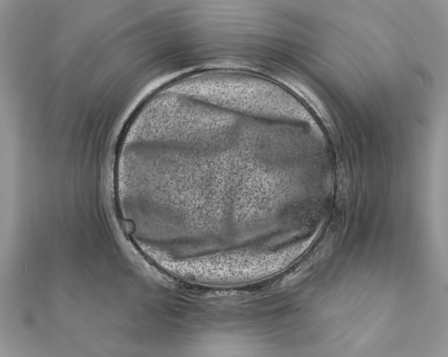 X0000111871000200908131608