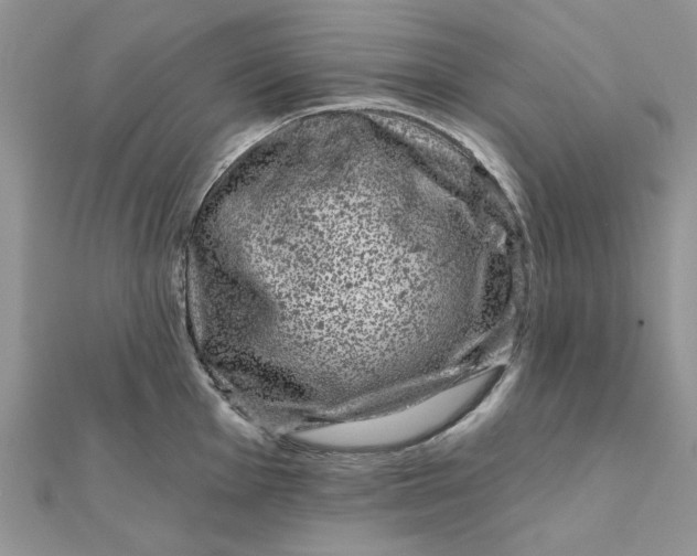 X0000111871001200908131608