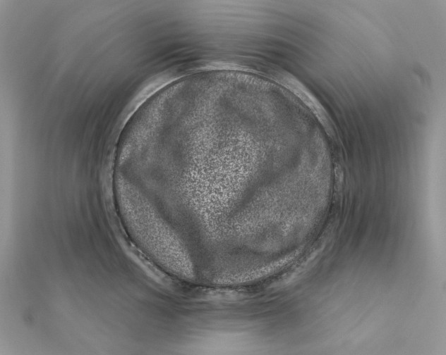 X0000111871002200908131608