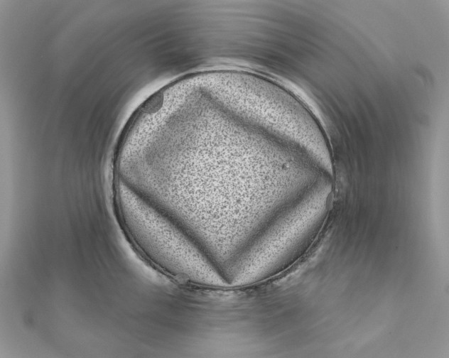 X0000111871003200908131608