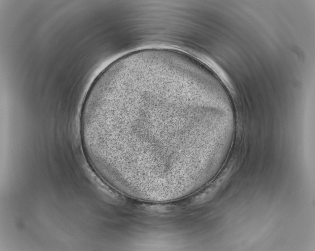 X0000111871004200908131608