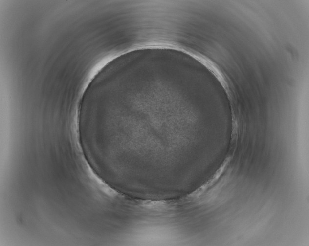 X0000111871006200908131608