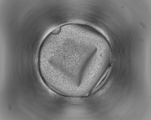 X0000111871007200908131608