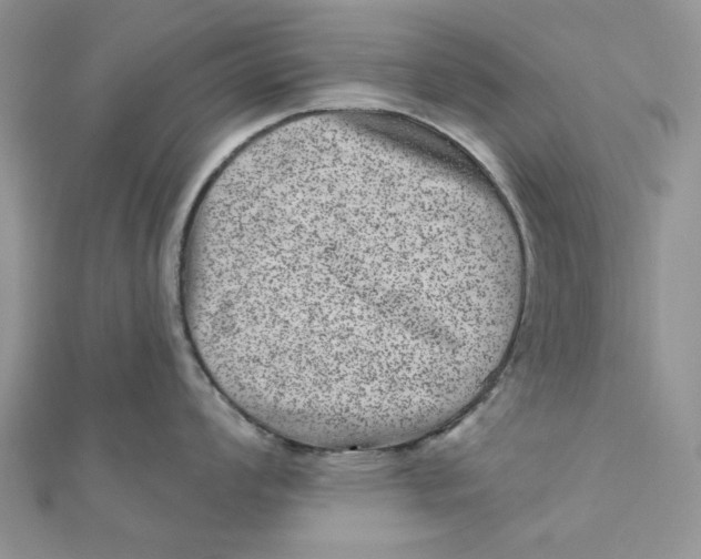 X0000111871008200908131608