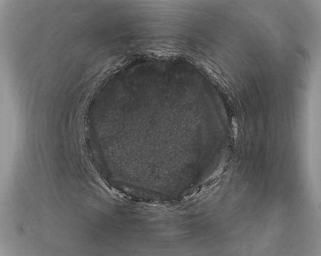 X0000111871009200908131607