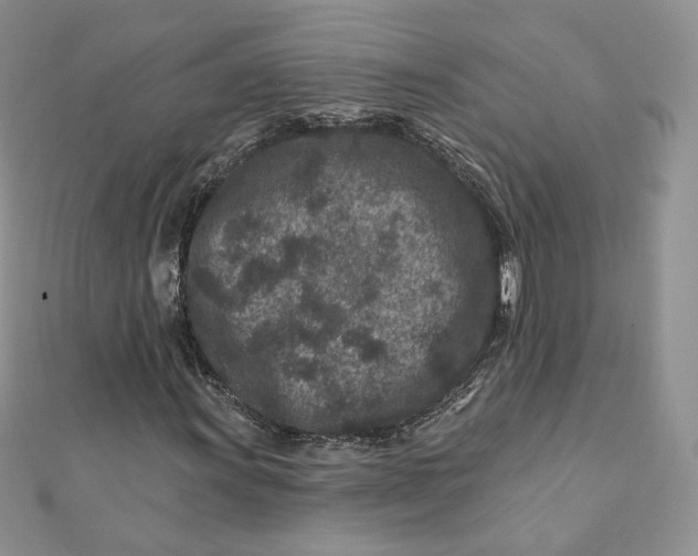 X0000111871011200908131607