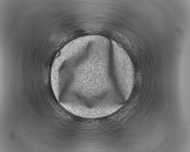 X0000111871012200908131607