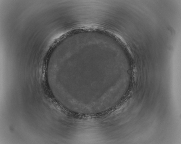 X0000111871016200908131607