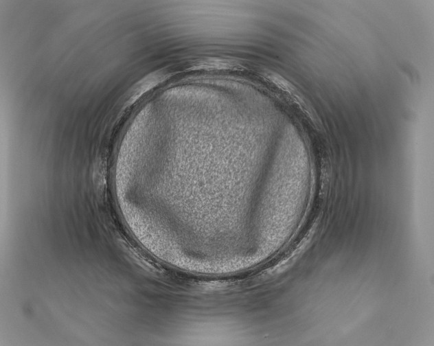 X0000111871017200908131607