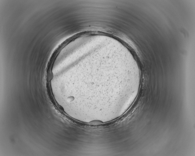 X0000111871020200908131607